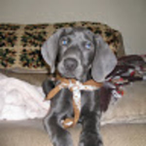 Meet your Posher, Stac